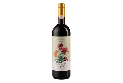 Castello Vicchiomaggio Vegan Chianti Classico Riserva
