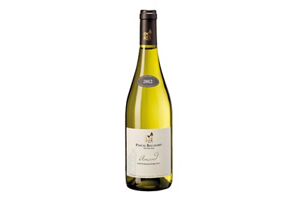 Pascal Bouchard Sauvignon Blanc 