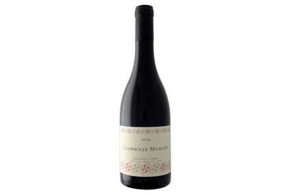 Marchand-Tawse Chambolle - Musigny