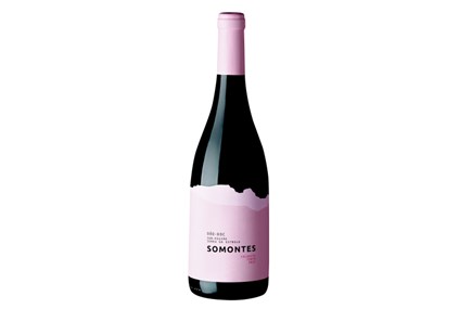 Casa da Passarella Somontes Colheita Tinto 