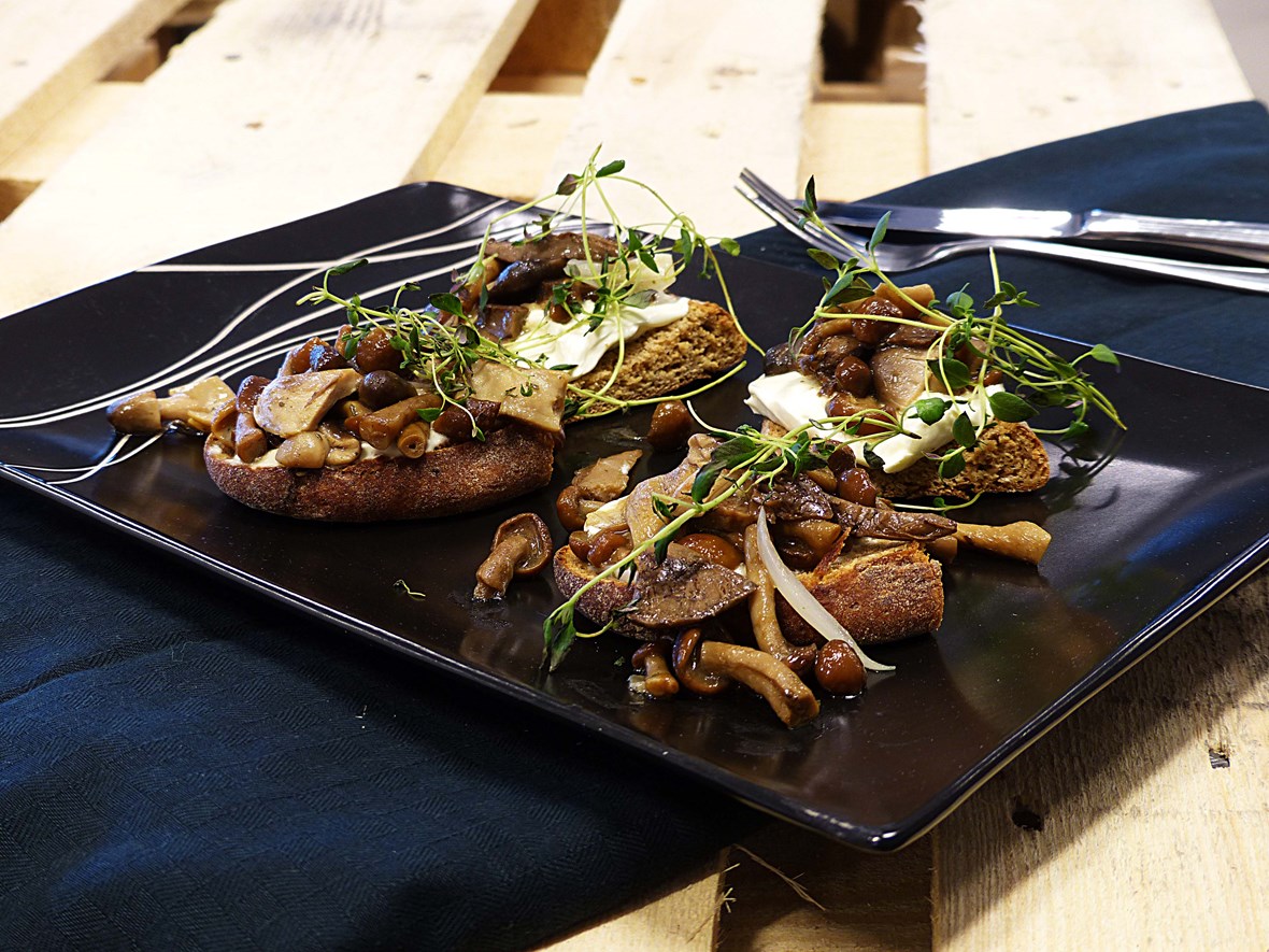 Bruchetta med Villsopp, geitost og olivenolje