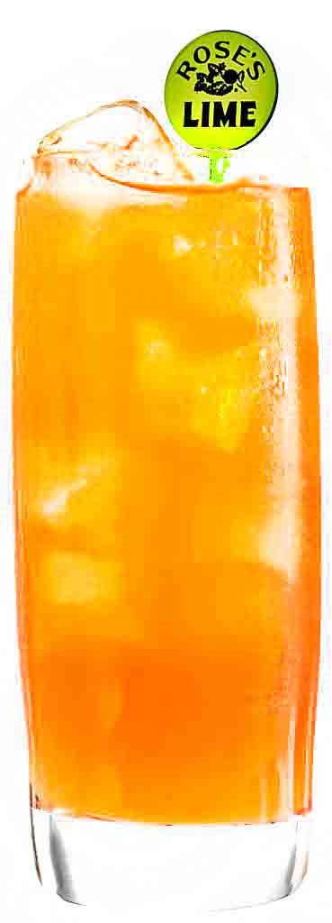 P2 ELDERFLOWER