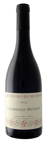 Marchand-Tawse Chambolle - Musigny